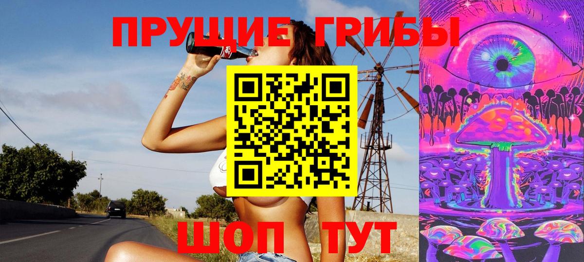 Псилоцибиновые грибы GOLDEN TEACHER Каменск-Шахтинский